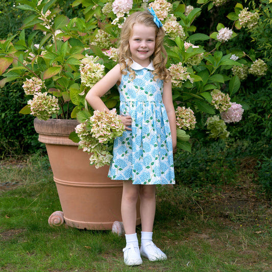 Hydrangea Peter Pan Collar Dress